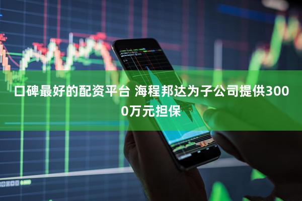 口碑最好的配资平台 海程邦达为子公司提供3000万元担保