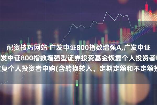 配资技巧网站 广发中证800指数增强A,广发中证800指数增强C: 关于广发中证800指数增强型证券投资基金恢复个人投资者申购(含转换转入、定期定额和不定额投资)业务的公告
