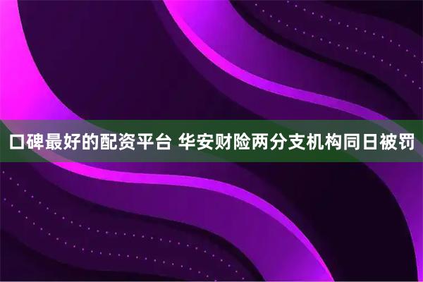 口碑最好的配资平台 华安财险两分支机构同日被罚